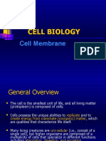 Cell Membrane