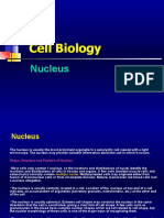 Nucleus