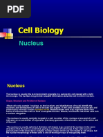 Nucleus.ppt