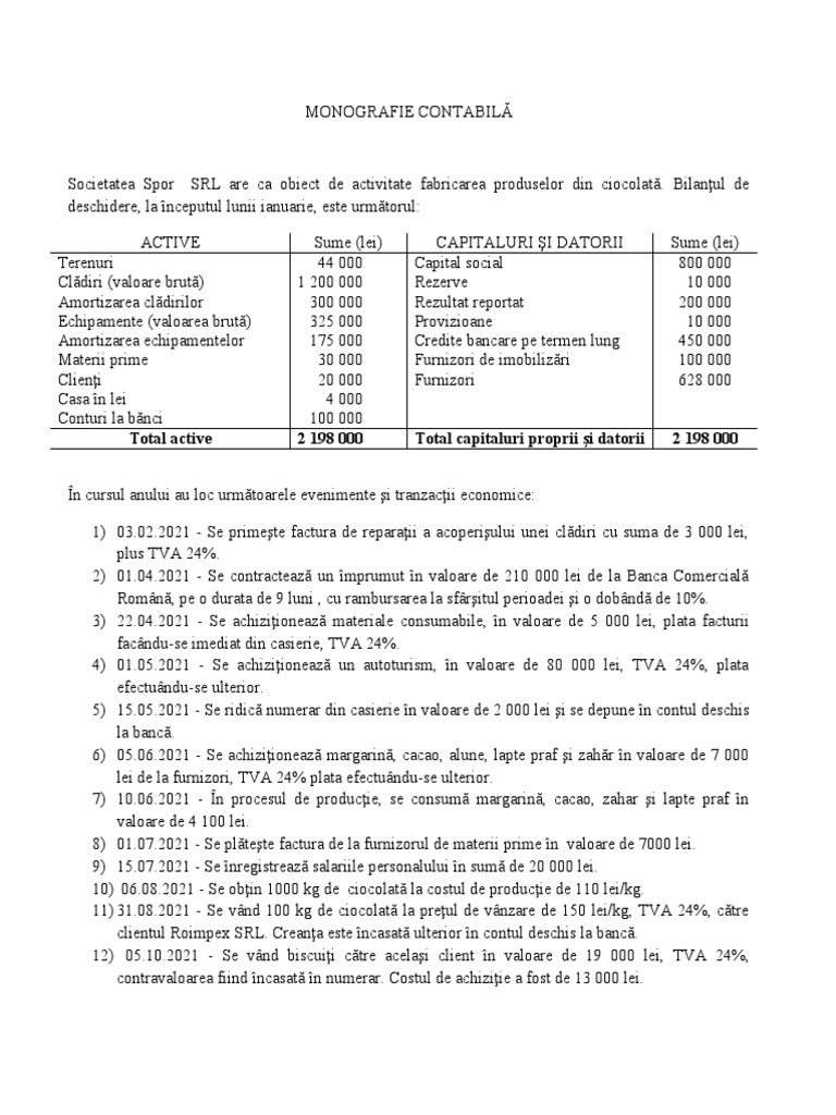 Monografie Contabila | PDF