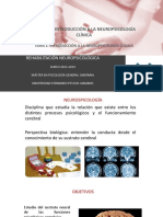 Tema 1 Introduccio N A La Neuropsicologi A Cli Nica PDF