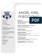 Perfil profesional diseñador gráfico Angel Axel Pliego Diaz