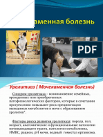 МКБ ВМ 412 Аманжолов А.Ж PDF