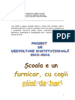 Proiect de Dezvoltare Institutionala PDF