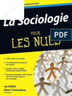 La-Sociologie-Pour-Les-Nuls-