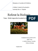 Referat La Biologie: Tema: Rolul Ciupercilor În Natură Și În Viața Omului