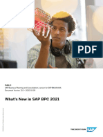 Sap BPC