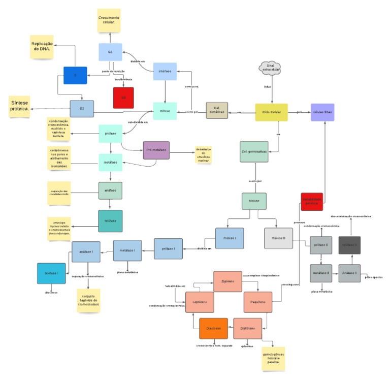 Mapa conceitual (3) (1) - Biologia Celular