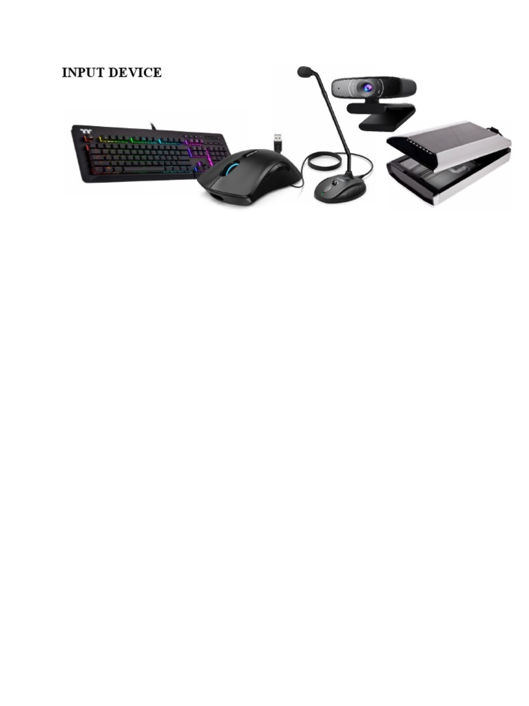 Input Device | PDF