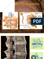 4 Columna PDF