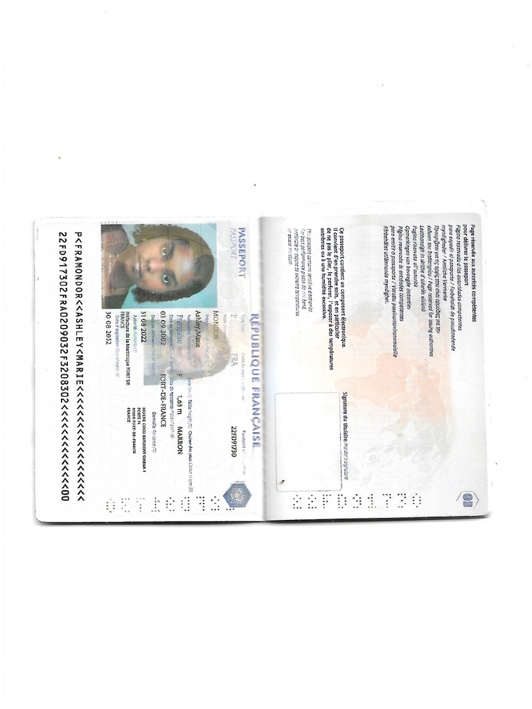 MODIFIER PASSEPORT visual data 4