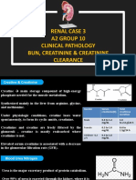 Renal Function Tests: BUN, Creatinine & Creatinine Clearance