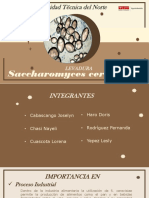 Trabajo Grupal - Microorganismo Levadura PDF