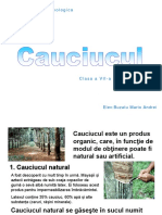 Cauciucul BZT