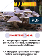 Kingdom Fungi PDF