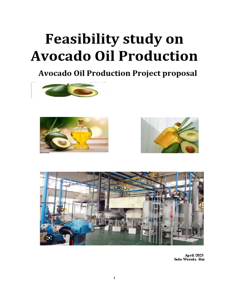 Avocado Oil Production Feasibility Study | PDF | Net Present Value ...