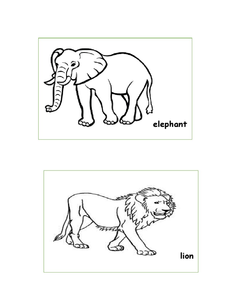 Wild Animal Sentence Writing PDF