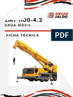 Grua 100 TN