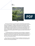 Rain PDF