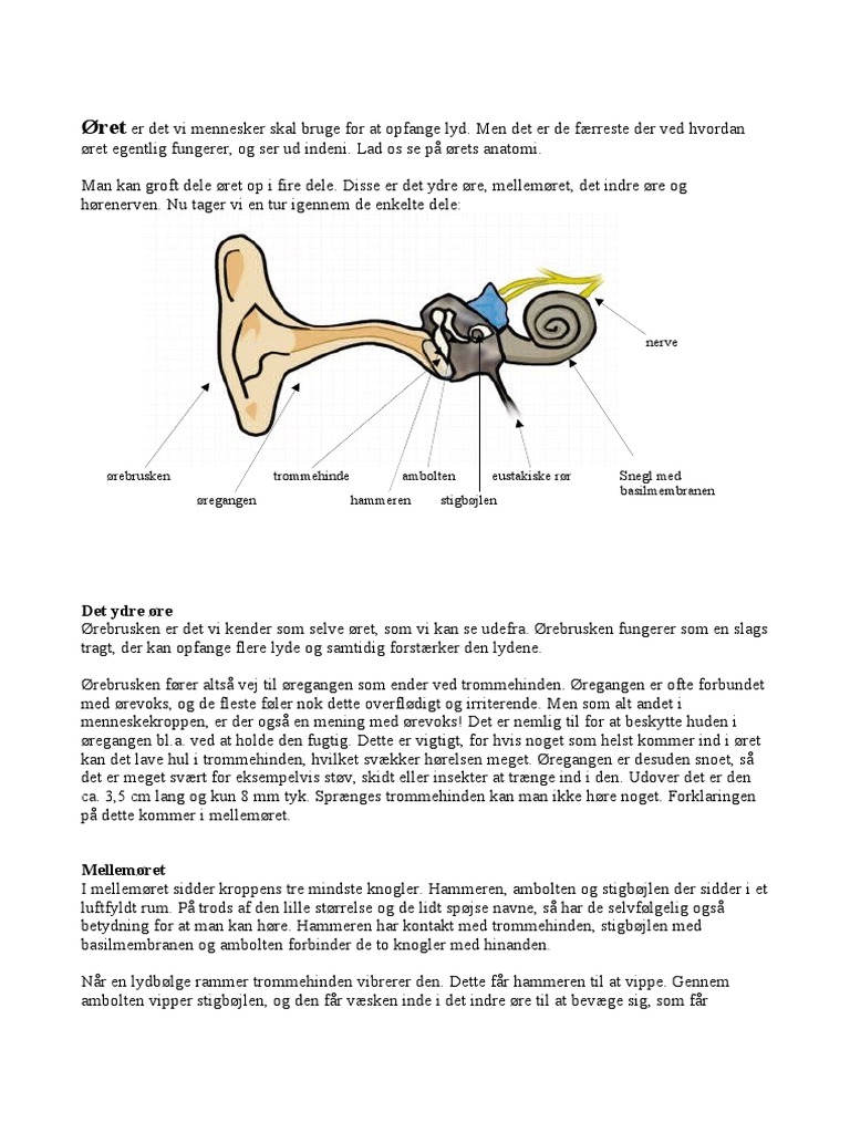  ret PDF