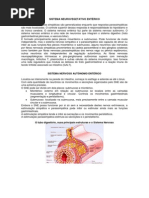 SISTEMA NEUROVEGETATIVO ENTÉRICO