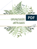 Introducción Optimización Y Derivadas PDF