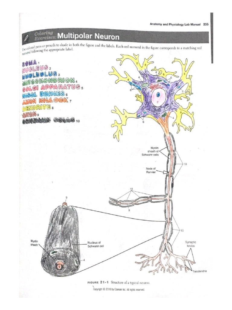Happ 100lab 2MT01 Lab Exercise 21&22 Bernas PDF