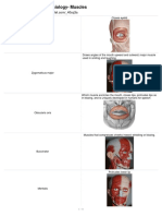 Anatomy and Physiology-Muscles