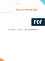 rapport_annuel_elfouladh_2018