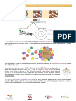 Fiche Explicative CEC - v01