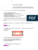 Guía Perio PDF