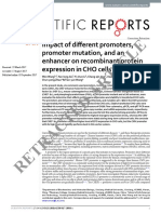 Impact of Different Promoters, Promoter Mutation, and An Enhancer On Recombinant Protein Expression in CHO