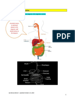 6.1 Digestion and Absorption PDF