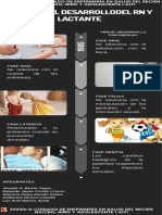 202301-D-Infografía de Teoría de Desarrolo RN y Lactante-A1t1