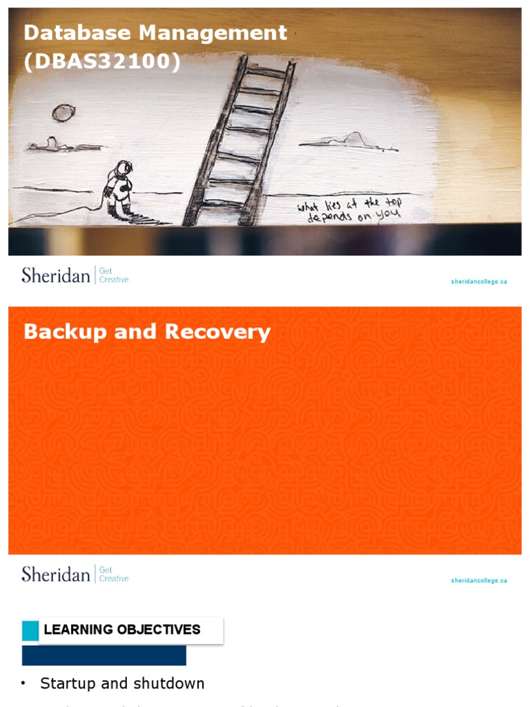 Backup and Recovery | PDF