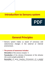 3 Introductionto Sensory System Sensory Receptors