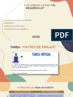 Matriz de Krajlic