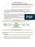 Nutrition in Plants Edexcel IGCSE