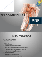 7mo TEMA. Tejido Muscular