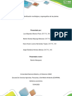 Tarea 3 - Identificación Morfológica y Organográfica de Las Plantas