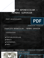 06 - Esqueleto Apendicular - MMSS - Osteologia