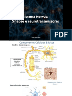 Sistema Nervos: Sinapse e neurotransmissores