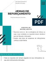 (AULA 9) - Esquema de Reforçamento PDF