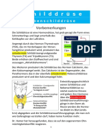 Schilddrüse PDF