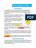 Verdauungstrakt PDF