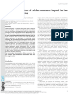 Aging Cell - 2014 - Ziegler - Mitochondrial Effectors of Cellular Senescence Beyond The Free Radical Theory of Aging