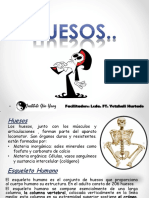 HUESOS Modif. YETZHA PDF