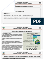 Questão ambiental no Brasil