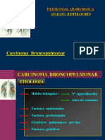 Carcinoma pulmonar: factores, anatomía y tratamiento