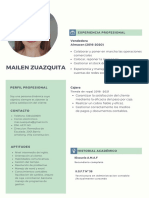 Copia de Verde Gris Blanco Foto Sistemas Analista Tecnología Currículum PDF